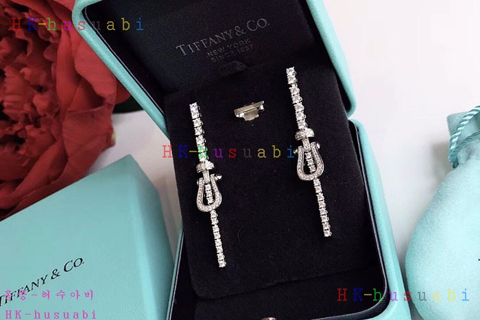 NEW  티파니앤코 귀걸이 신상 T 1112402
