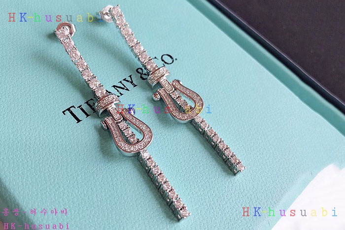 NEW  티파니앤코 귀걸이 신상 T 1112402