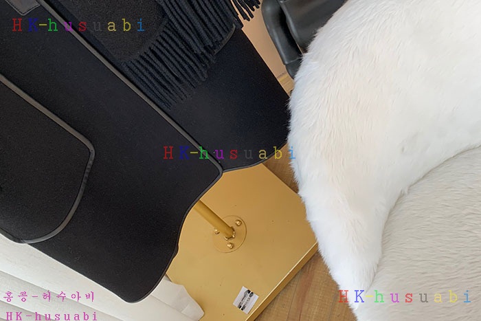 NEW 에르메스 코트 신상 H 877473