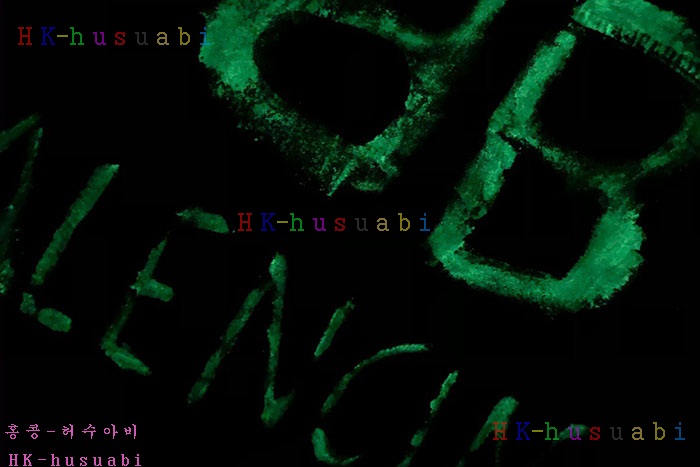 NEW 발렌시아가 자켓 신상 B 427802