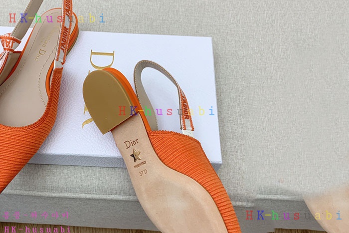 NEW 디올 신발 신상 DR 2524015