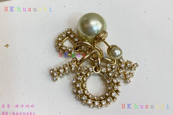 NEW 디올 귀걸이 신상 DR 968584