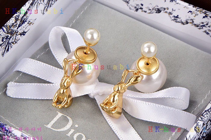 NEW 디올 귀걸이 신상 DR 968563