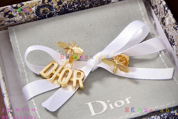 NEW 디올 귀걸이 신상 DR 968571