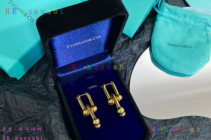 NEW 티파니앤코 귀걸이 신상 T 950013