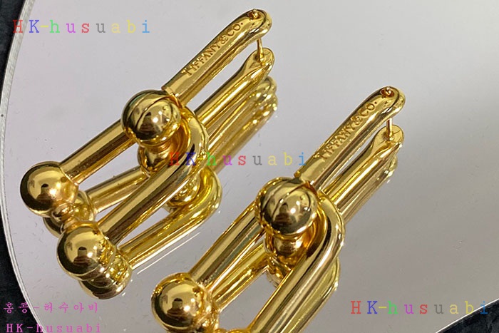 NEW 티파니앤코 귀걸이 신상 T 950013