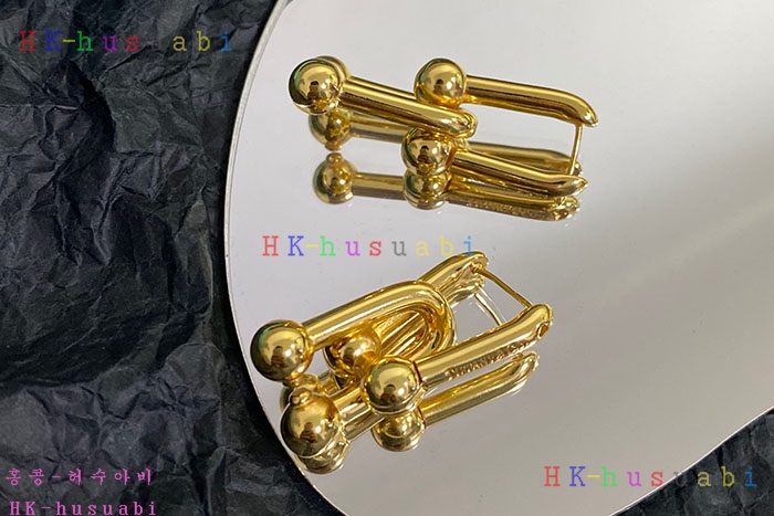 NEW 티파니앤코 귀걸이 신상 T 950013