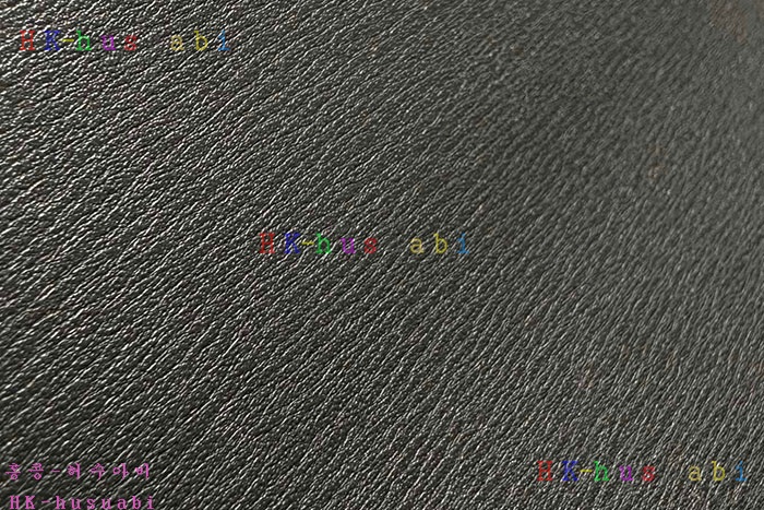 ★미러급★로에베 스몰 고야 백  A794N09-4