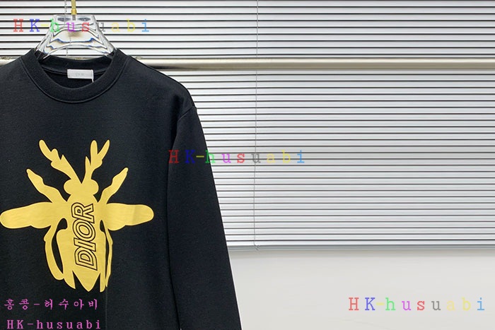 NEW 디올 맨투맨 신상 DR 770241