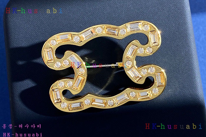 NEW 셀린느 브로치 신상 C 6922532