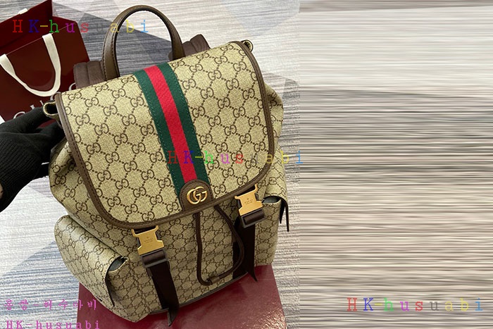 ڹ̷ޡڱ  ǵ   839110