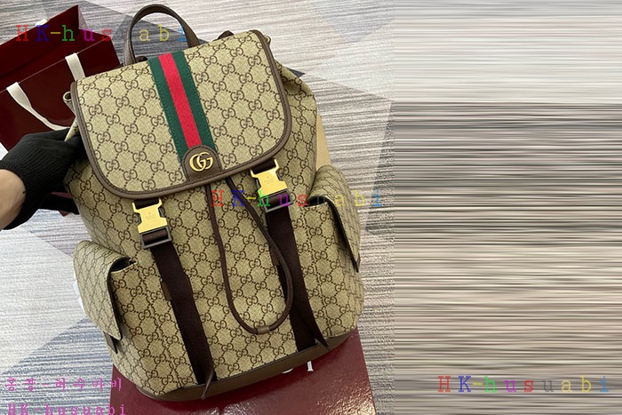 ڹ̷ޡڱ  ǵ   839110